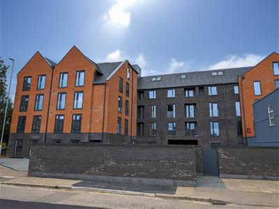 Picture 9